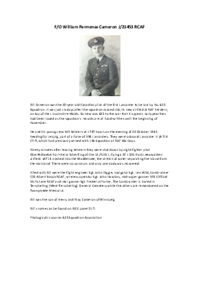 A preview of a PDF biography for Cameron, William Parmenas